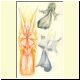 edf14h.html