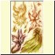 fon01h.html