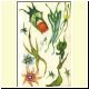 fon04h.html